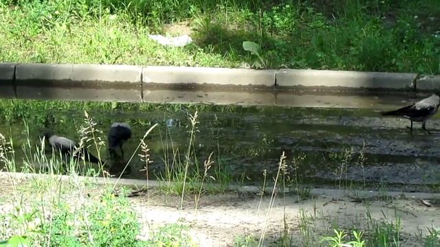 MVI 3904 смотреть онлайн