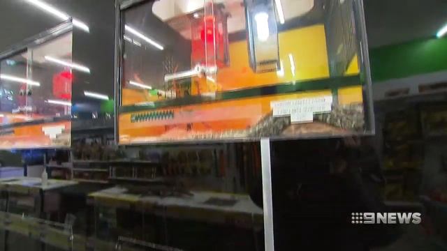 New pet owners get a surprise bonus python | Nine News Australia смотреть онлайн
