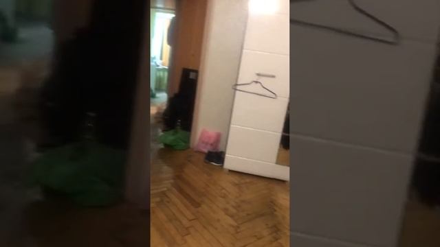 СТРАШНАЯ ПИЛА🙀 смотреть онлайн