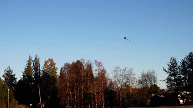 1.5 года в хобби смотреть онлайн