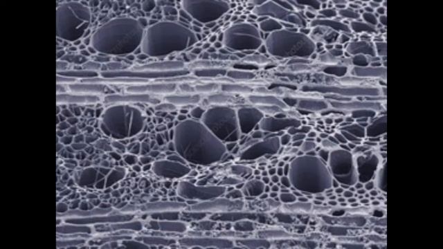 faszén vs faszénbrikett смотреть онлайн