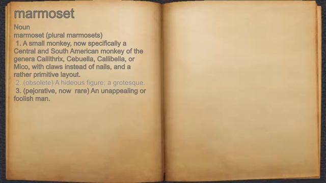 What does marmoset mean? смотреть онлайн