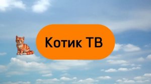 Летняя заставка телеканала «Котик ТВ» (с 1.06.2024)
