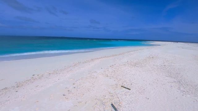 DIY Fly Fishing Maldives December 2019 смотреть онлайн