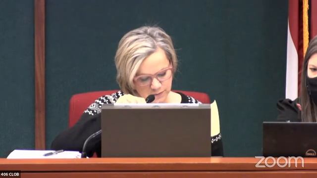 Legislative & Congressional Reapportionment 11.20.21 смотреть онлайн