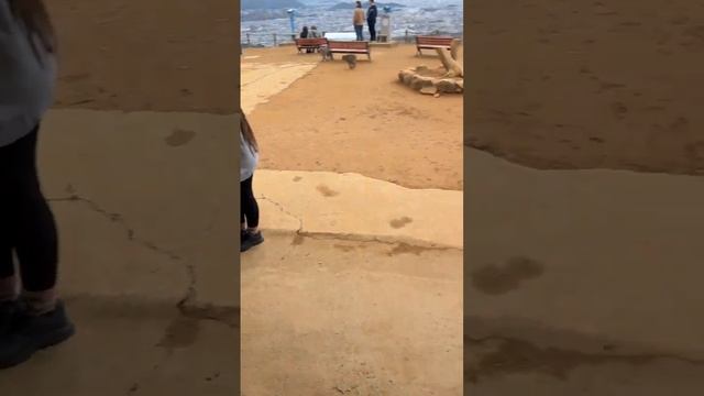 Японские горы и обезьяны смотреть онлайн