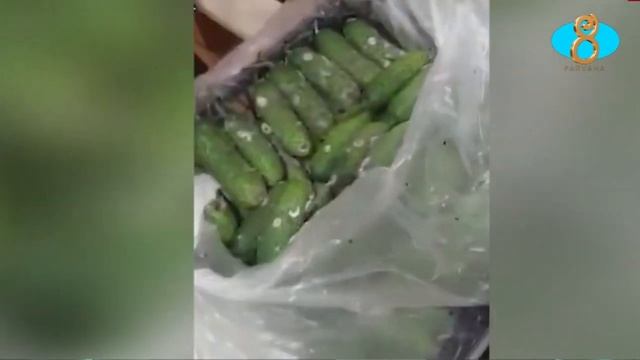 На ТПП,,Верхний Ларс,, огромная очередь из большегрузов. Լարսի խցանումներից փչանում է հայկական բերք смотреть онлайн