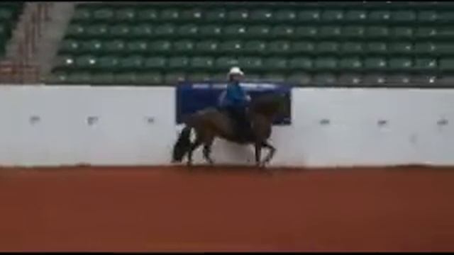Colorina del Conde paso fino mare смотреть онлайн