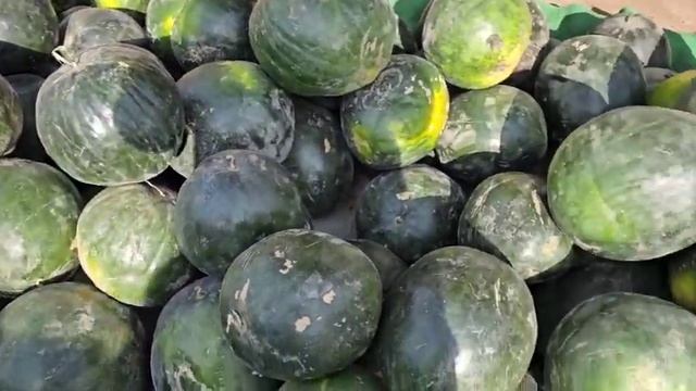 ❗️ПРОДУКТА🍉БУГУНГИ🍋ИСКРА🍅ШАНБЕ🫑БОЗОРДА 28 10 2023❗️КУРС 1000 Р 117 С смотреть онлайн