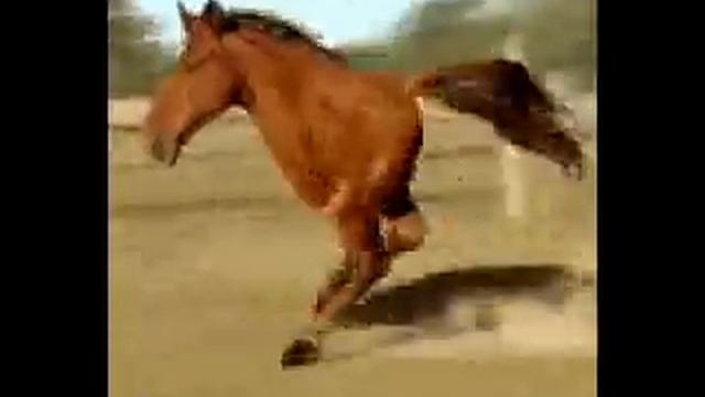 Two Legged Running Horse смотреть онлайн