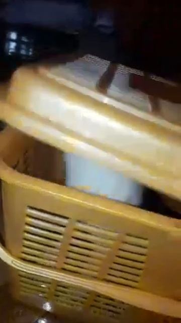 my cat смотреть онлайн