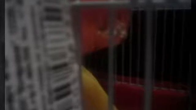 Клип " Моя жизнь - это моя жизнь!" ( воспоминания) смотреть онлайн