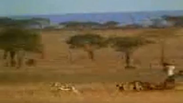 Крос смотреть онлайн