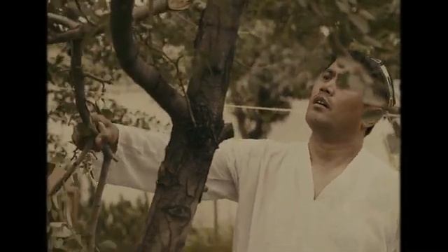 ERKIN ODINAEV VA AZAMAT BOBOJONOV HAVLI PADAR