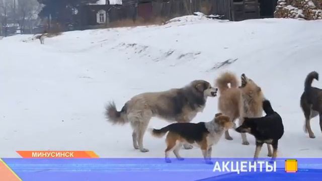 Информационно-аналитическая программа «Акценты» смотреть онлайн