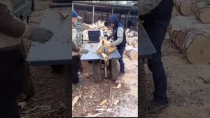 Дровокол Горыныч 9Т (380в) отзыв клиента.