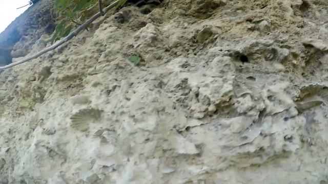 FOSSIL HUNTING - Un tuffo nel mare plio-pleistocenico смотреть онлайн