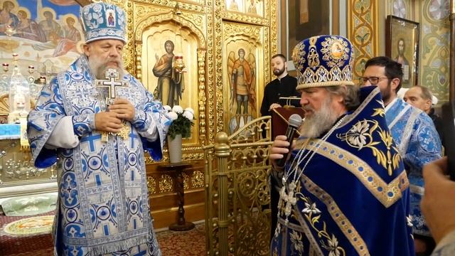 Видео смотреть онлайн