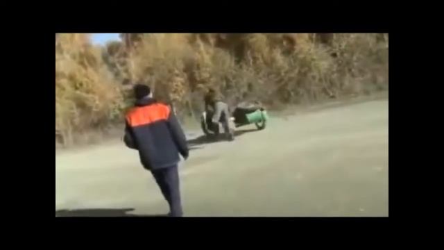 Пить не хорошо, посмотрите на запитых животных. смотреть онлайн