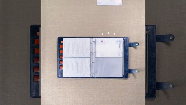 Органайзер для семейных документов на кольцах Ringfolder А4 Друид Синий смотреть онлайн