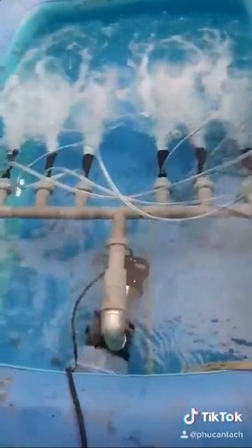 Công suất hoạt đồng Bộ sục khí Venturi Bơm chìm 01Hp смотреть онлайн