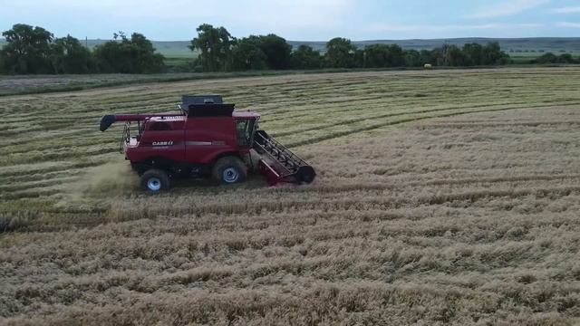 Having some wet harvesting fun in South Africa, with a Case IH 5088, filmed with a DJI Mavic Air 2 смотреть онлайн