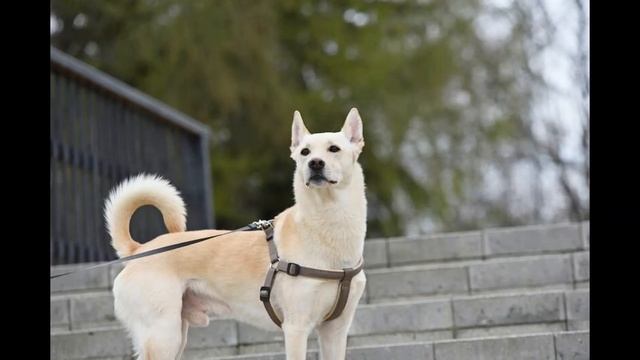 Грэй необыкновенно красивый и добрый парень ищет дом смотреть онлайн