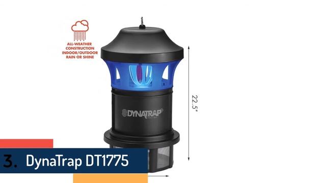 Top 5 Best Dynatrap Insect Traps 2020 смотреть онлайн