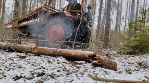 Пилим, возим, тягаем лес на тракторе т 16.
