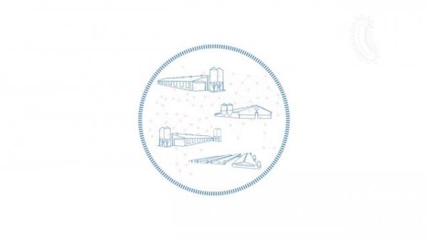 Терминальный хряк PIC337 от PIC