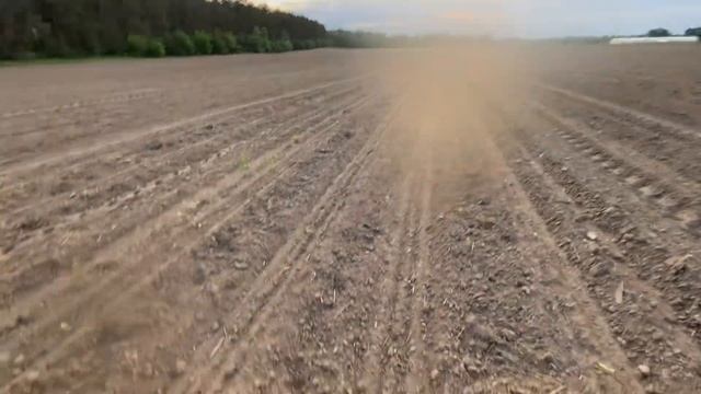 😱Таких сходів ще не було😱зійшов соняшник 🌻 GASPARDO- рулить💪 смотреть онлайн