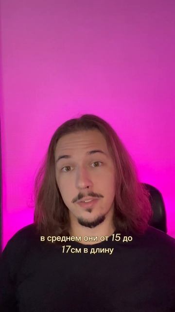ТОП-10 самых БОЛЬШИХ насекомых в мире смотреть онлайн