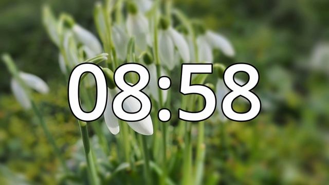 18 Minutes Timer with Music | Spring Timer смотреть онлайн