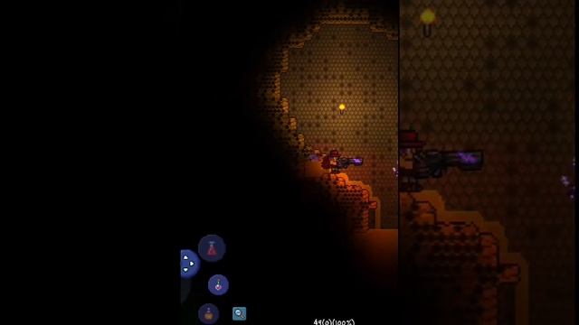 королева пчел в терарии! #shorts смотреть онлайн