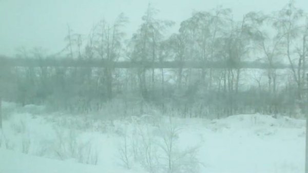 Зимний пейзаж в окне поезда ( февраль - 2023 )