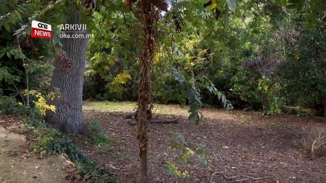 SPEĊI TA’ GERRIEM MIĊ-ĊILÌ ISSIB RUĦHA FL-AMBJENT MALTI смотреть онлайн