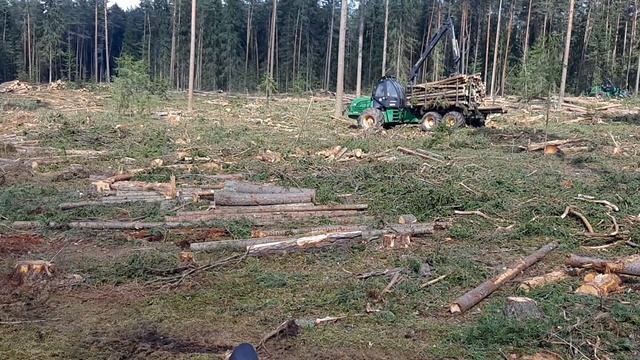 Форвардер Амкодор 2661-01 и Харвестер Амкодор 2551/Работа в делянке смотреть онлайн
