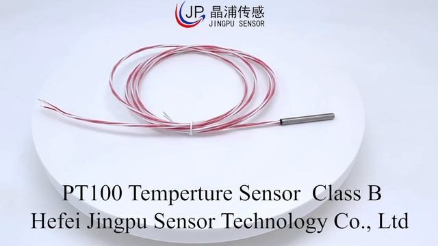 PT1000 PT100 Temperature Probe смотреть онлайн