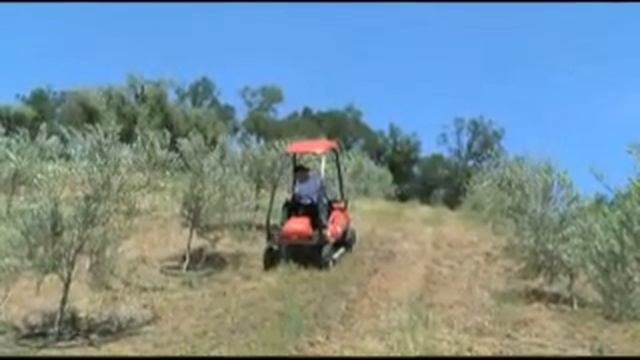 Canycom Brush Cutters CM230 смотреть онлайн