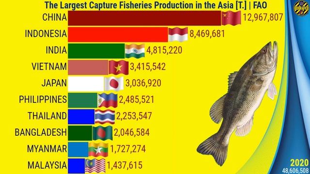 THE LARGEST CAPTURE FISHERIES PRODUCERS IN THE WORLD, EUROPE, ASIA, AMERICA'S, AFRICA AND OCEANIA смотреть онлайн