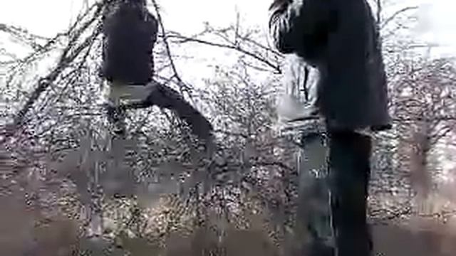 Шева покоритель смотреть онлайн