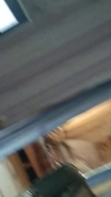 5 августа 2024 г. смотреть онлайн