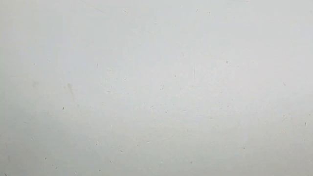 Мешок № 8130. СТОК Микс Евросоюз. Арт 6904. Вес 19,4 кг. Кол-во 135 шт. смотреть онлайн