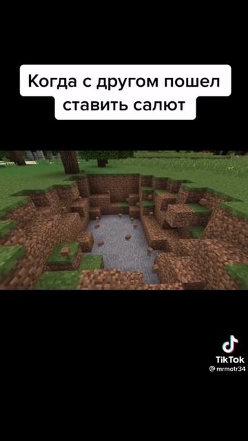 Поставь лайк если ты с другом делали салют
