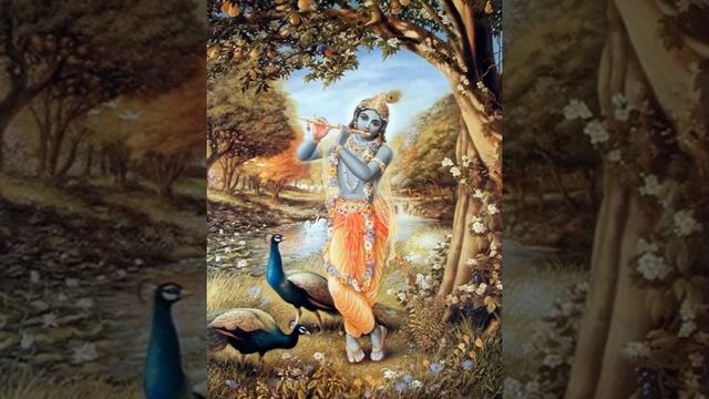 Там где тацуют павлины смотреть онлайн