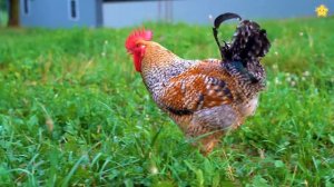 Учим домашних животных Мультики про животных для детей Звуки животных