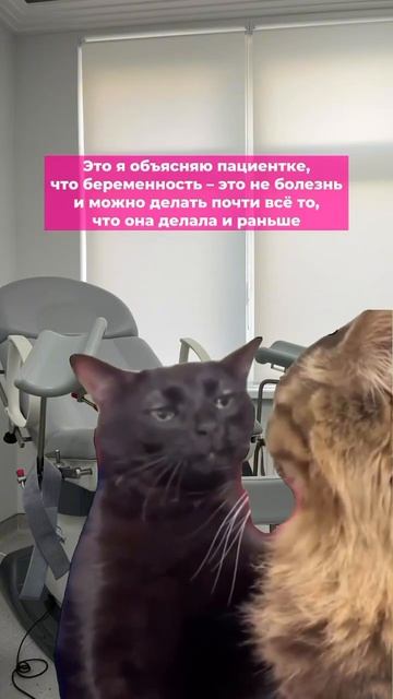 Беременность не болезнь смотреть онлайн