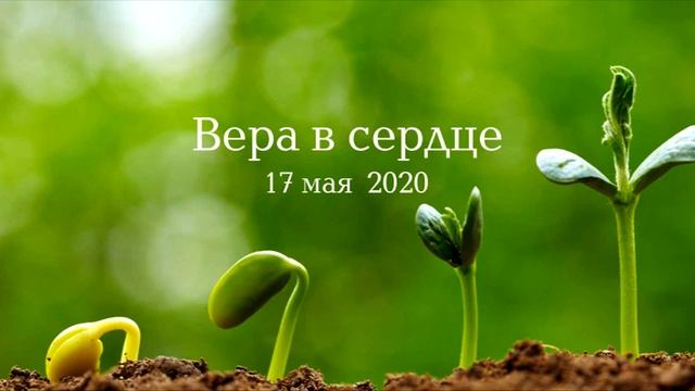 Вера в сердце: Утешение, Часть 1