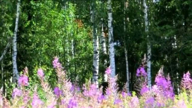 Нина Левенец (Косарева) смотреть онлайн