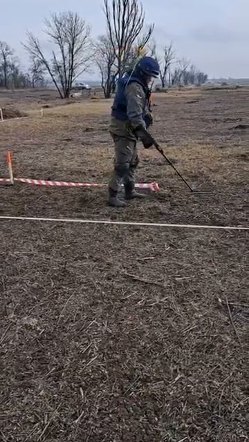 Работа с металлоискателями Альфамарин 5000 смотреть онлайн